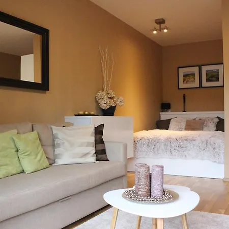 Apartmán Medvědín 2.305