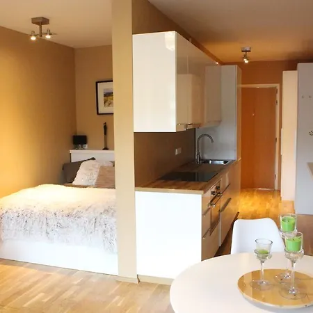 Medvědín 2.305 Apartmán